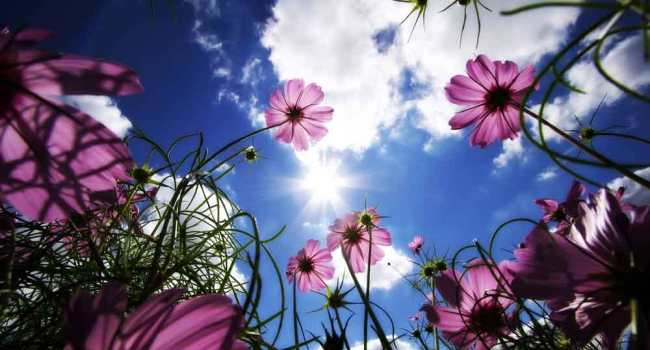 شعر توحیدی 
